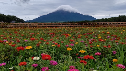 2020/07/28の写真