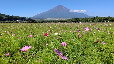 2020/08/21の写真