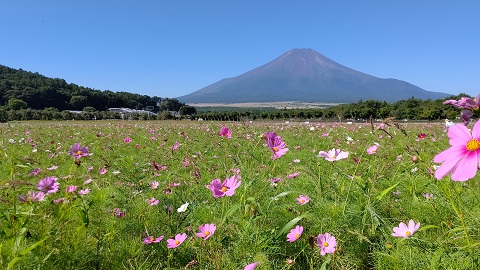 2020/08/26の写真