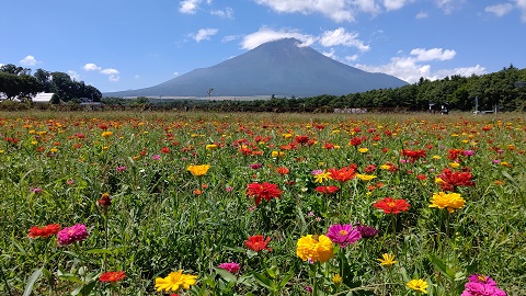 2020/08/26の写真