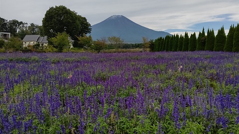 2020/09/21の写真