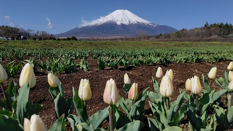 2021/04/18の写真