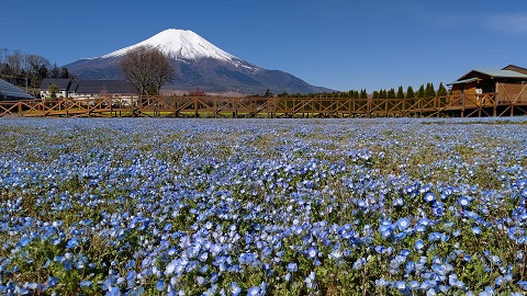 2021/04/22の写真