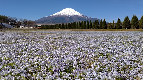 2021/04/22の写真