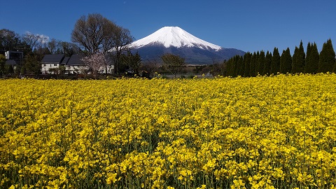 2021/05/03の写真