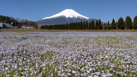 2021/05/03の写真