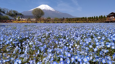 2021/05/08の写真