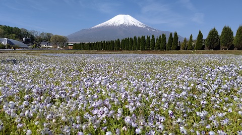 2021/05/08の写真