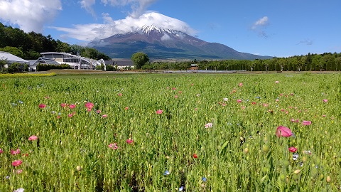 2021/05/18の写真