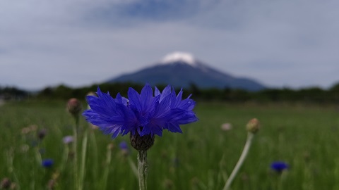 2021/05/24の写真