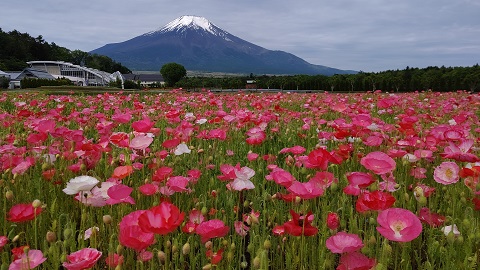 2021/05/24の写真