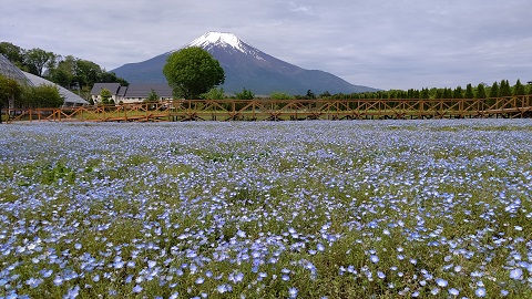 2021/05/24の写真