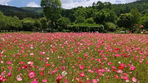 2021/06/05の写真