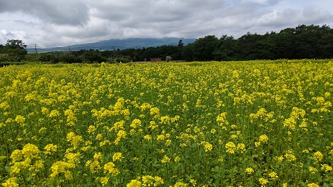 2021/06/18の写真