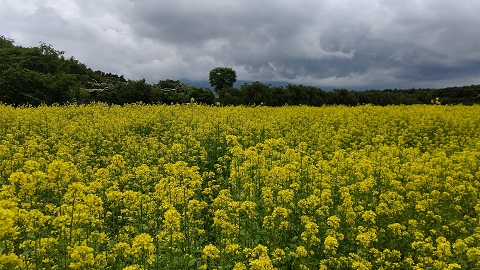 2021/06/27の写真