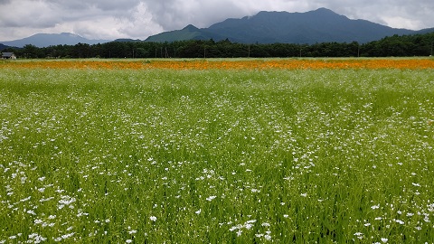 2021/06/27の写真