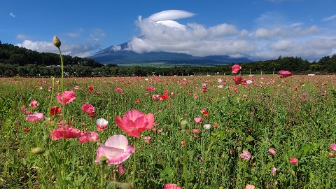 2021/07/10の写真