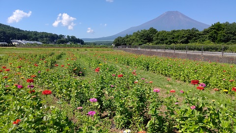 2021/07/20の写真