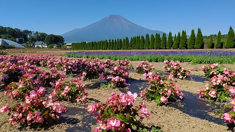 2021/07/20の写真