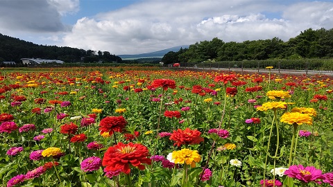 2021/07/31の写真