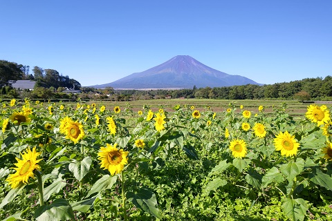 2021/10/03の写真