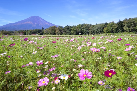 2021/10/06の写真