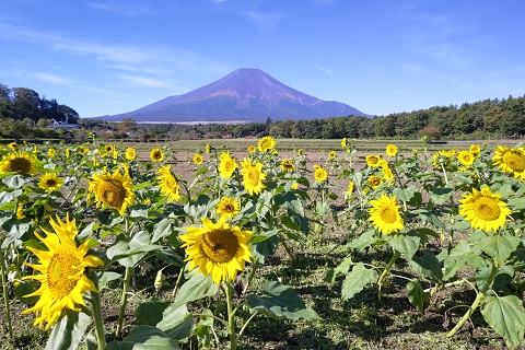 2021/10/06の写真