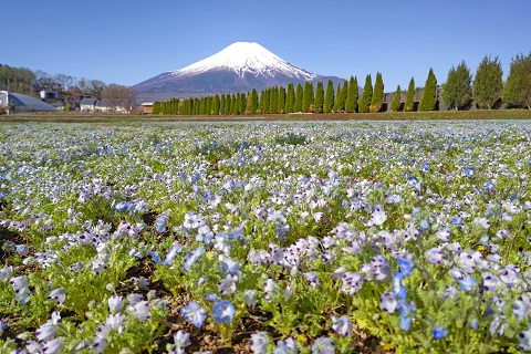 2022/04/25の写真