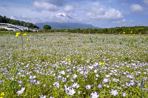 2022/06/05の写真