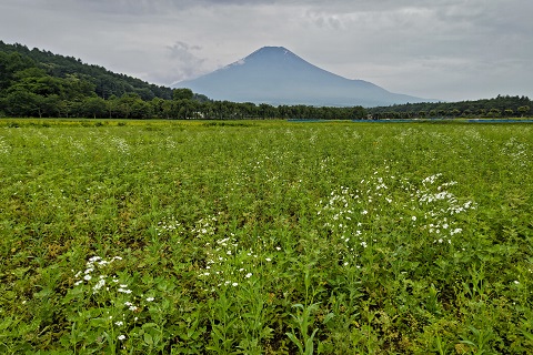 2022/07/03の写真