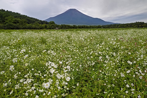 2022/07/18の写真