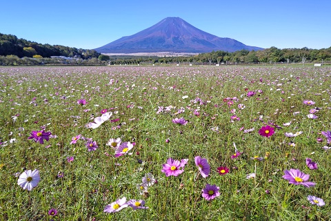 2022/10/20の写真