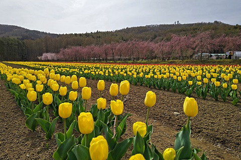 2023/04/14の写真