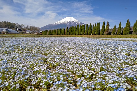 2023/04/19の写真