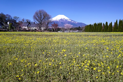 2023/04/19の写真