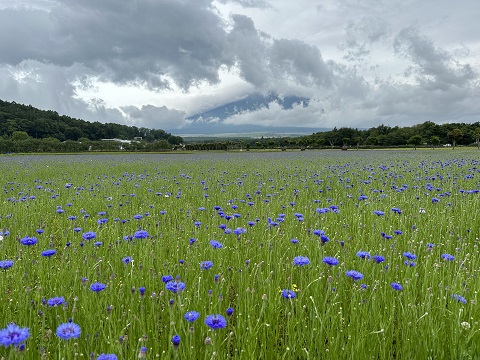 2023/06/30の写真