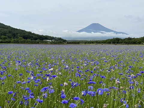 2023/07/05の写真