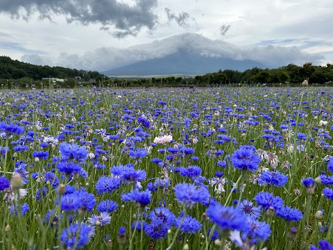 2023/07/08の写真