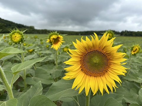 2023/07/21の写真