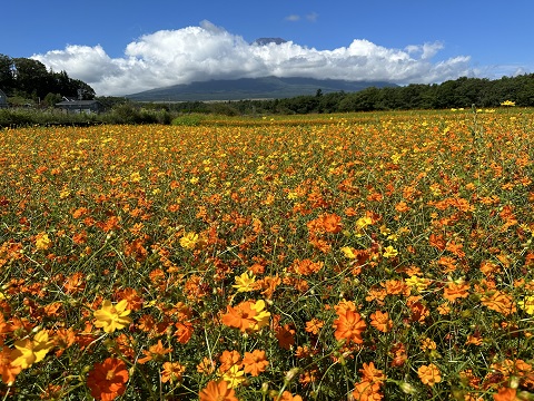 2023/08/18の写真