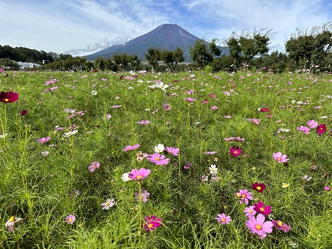 2023/08/30の写真