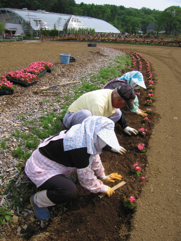 2009/06/15の写真