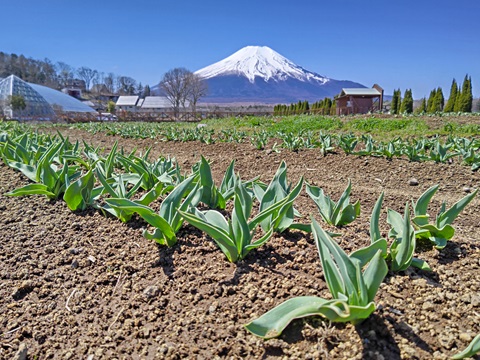 2024/04/10の写真