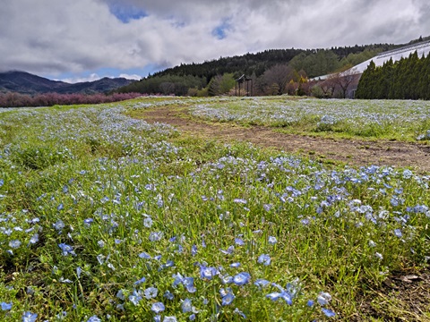 2024/04/25の写真