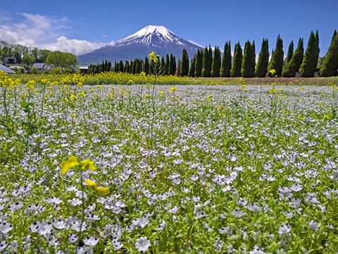 2024/05/14の写真