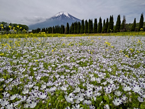 2024/05/24の写真