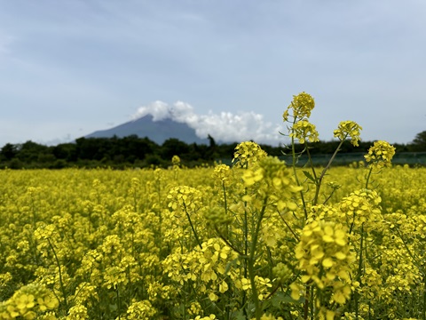 2024/06/20の写真