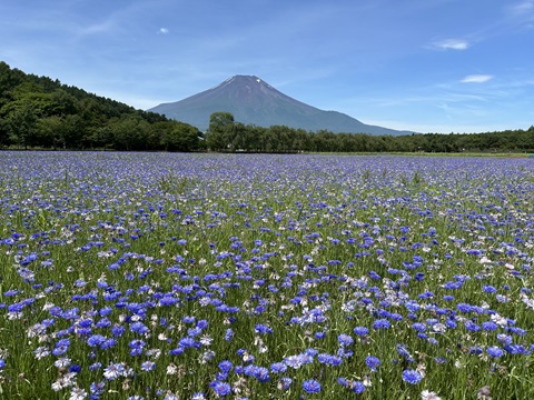 2024/07/07の写真