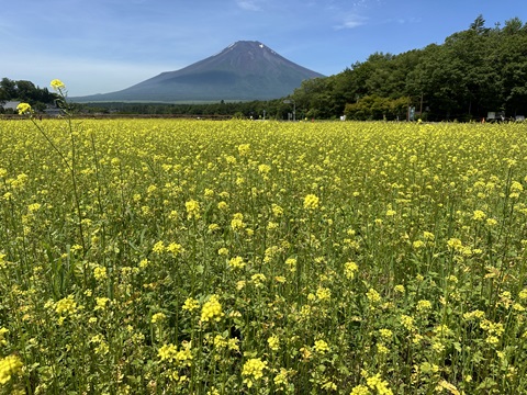 2024/07/07の写真