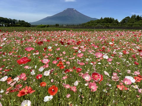 2024/07/07の写真